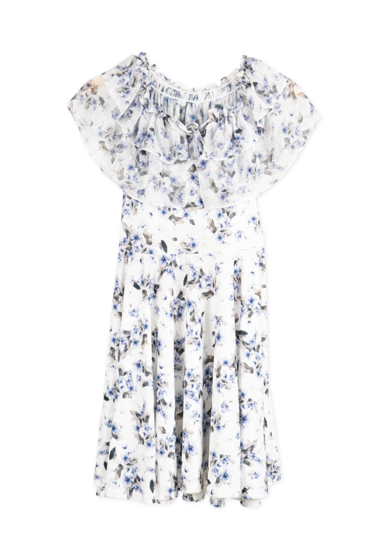 Blue Korean Sabrina Floral Dress