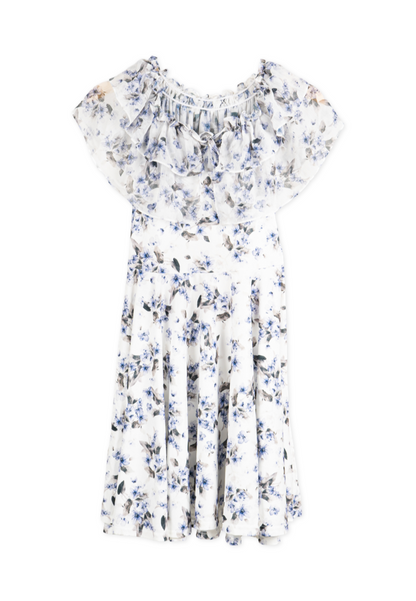Blue Korean Sabrina Floral Dress
