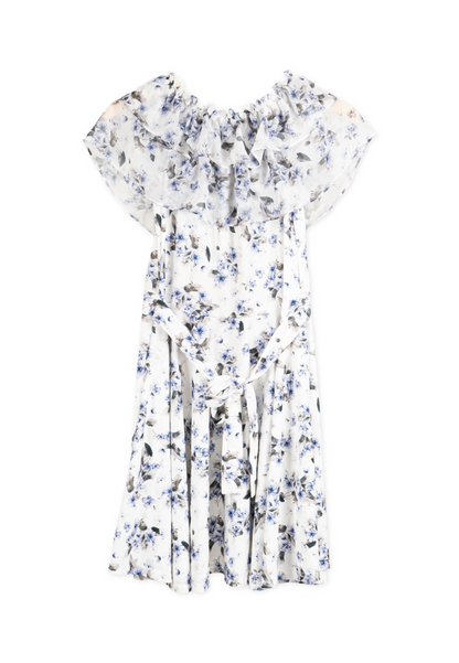 Blue Korean Sabrina Floral Dress